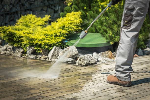 Best Pool Deck Cleaning in Inwood, WV